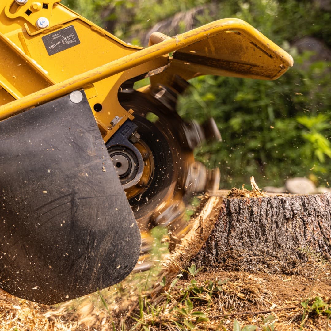 Stump Grinding & Removal