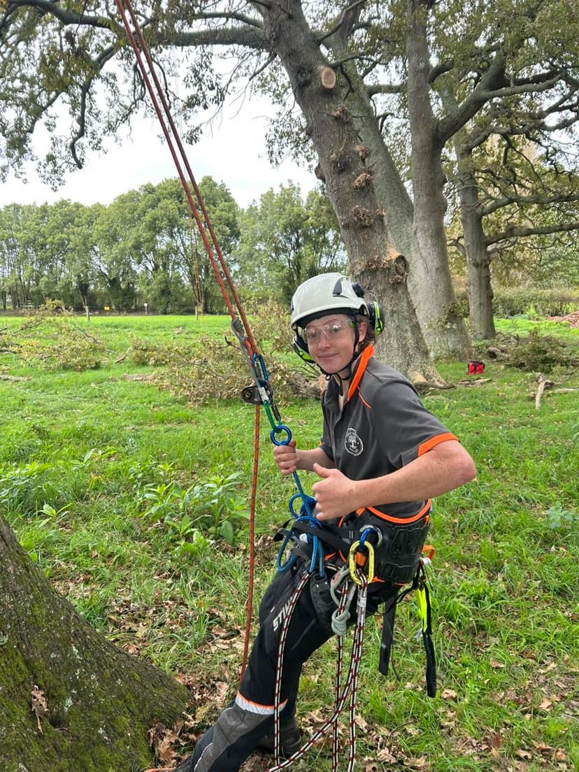 Touch Wood Tree Care team member